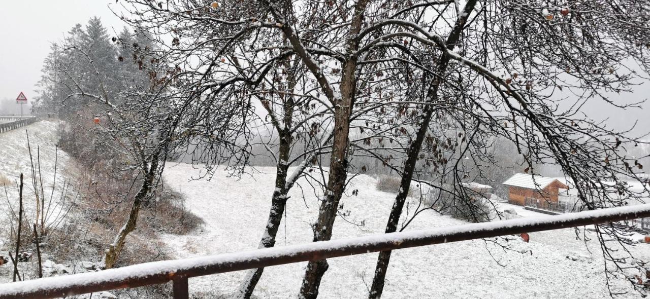 Bilocale Nel Cuore Della Val Di Fiemme Apartment *